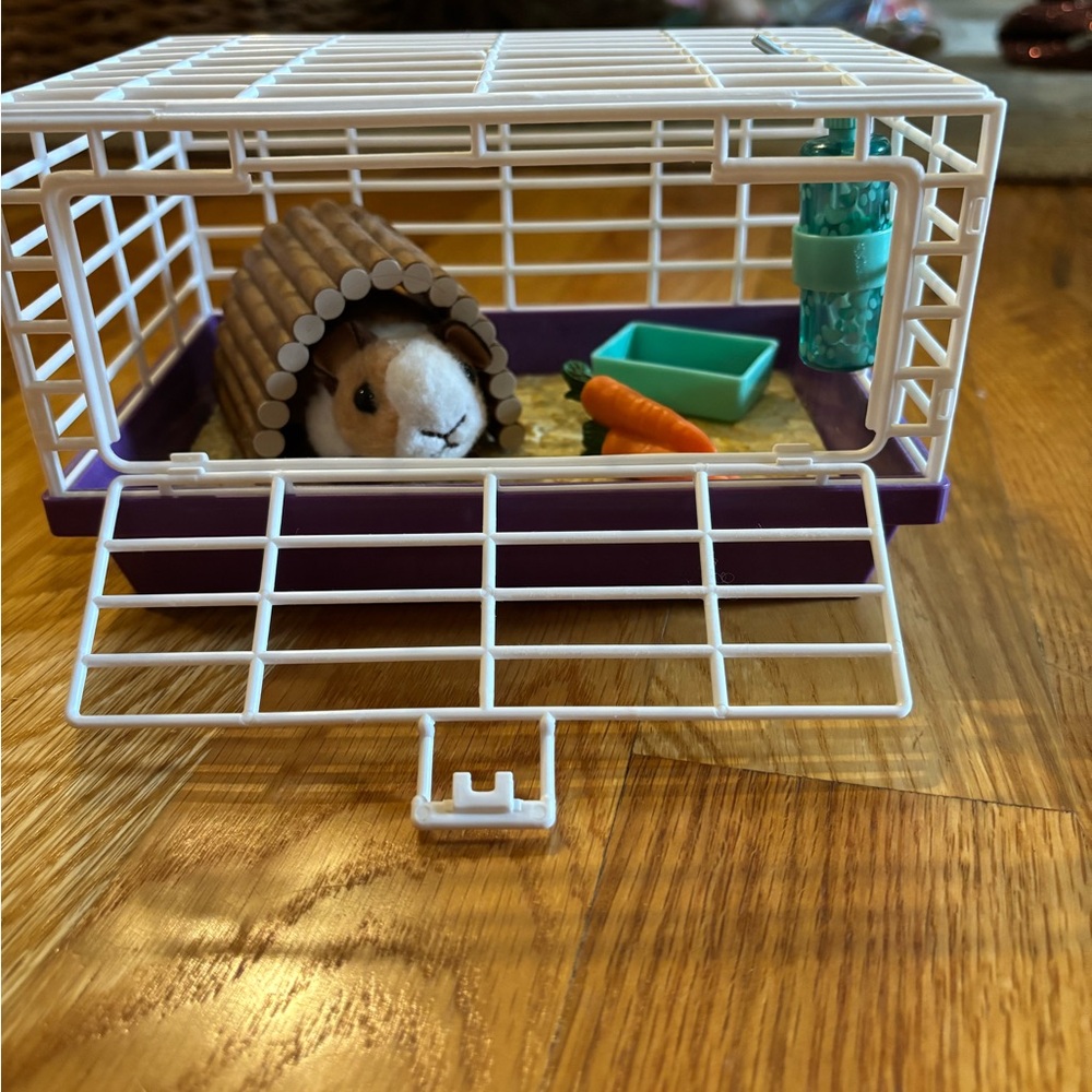 American girl dog Courtney guinea pig